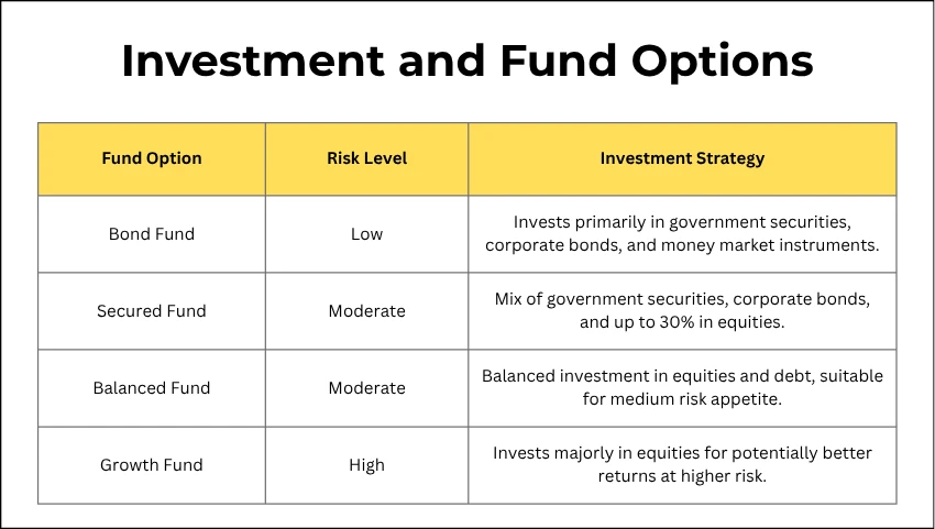 Investment and Fund Options
